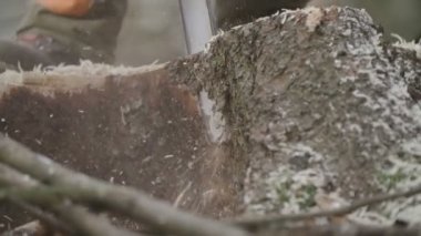 Testere ile kesme ahşap orman adamdır