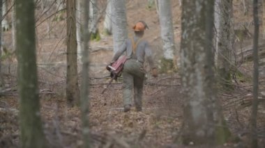 Bir testere ile yürüyüş logger