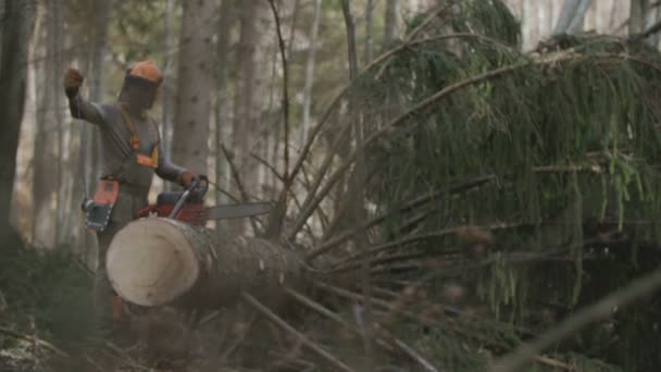 Logger Benutzt Maßband — Stockvideo