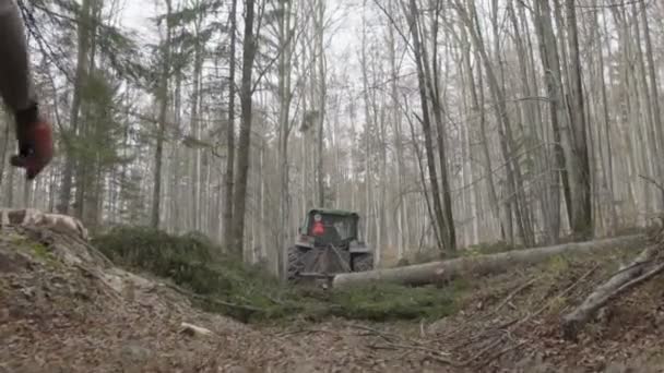 Lesní Dělníci Pracující Lese — Stock video