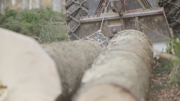 Pulling Logs Tractor — Stock Video