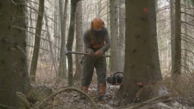 Bir ağaçta sıkışmış chainsaw
