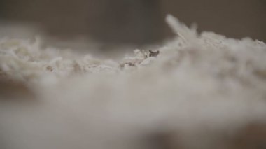 Bir ahşap talaş ile axe