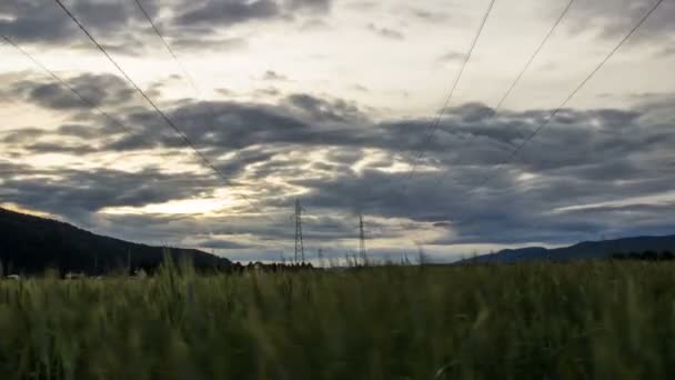 Часові Кола Пшениці Неба — стокове відео