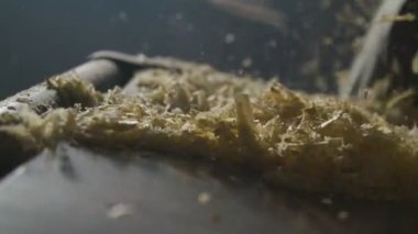 Sürücü beko gece çıkar.