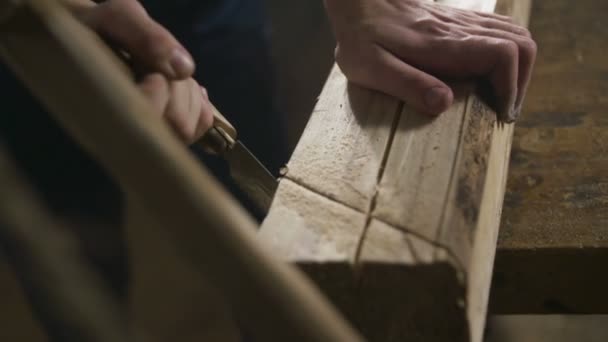 Het Zagen Van Hout Met Een Beugelzaag — Stockvideo