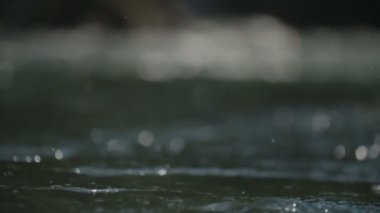 Taze nehir suyu, yakın