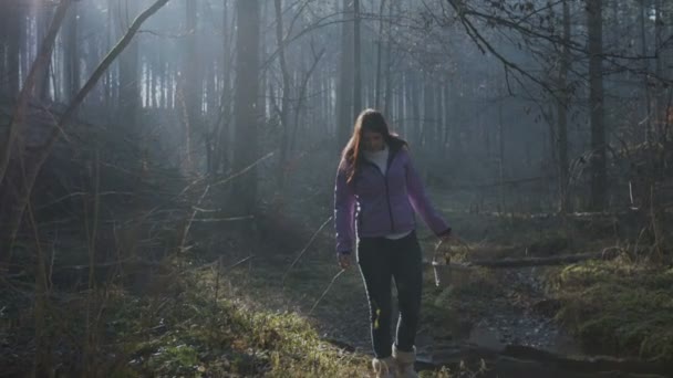 여자는 바구니와 숲에서 천천히 — 비디오
