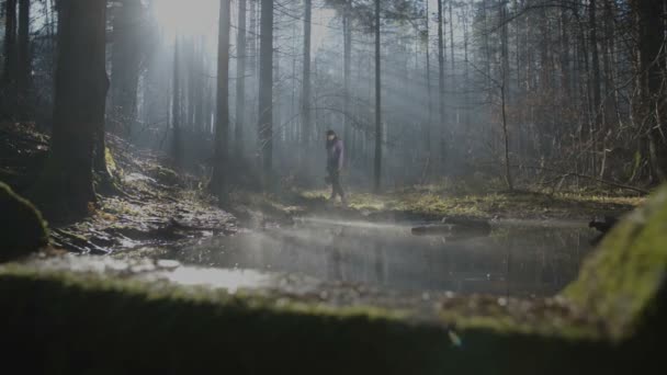 Kobieta Spaceru Lesie Pełnym Koszem Grzybów — Wideo stockowe