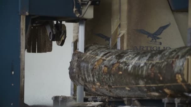 一台机器将原木切割成木板 — 图库视频影像