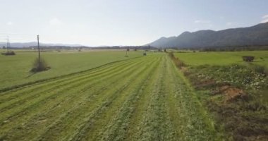 Traktör biçme yalak alan