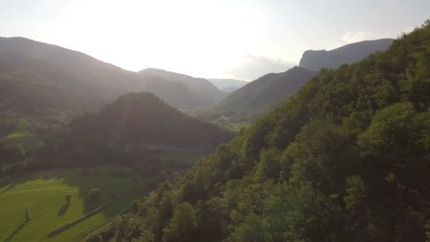 Colpo Aereo Fores Montagna — Video Stock