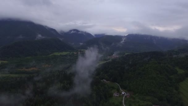 Tiro Aéreo Nublado Floresta — Vídeo de Stock