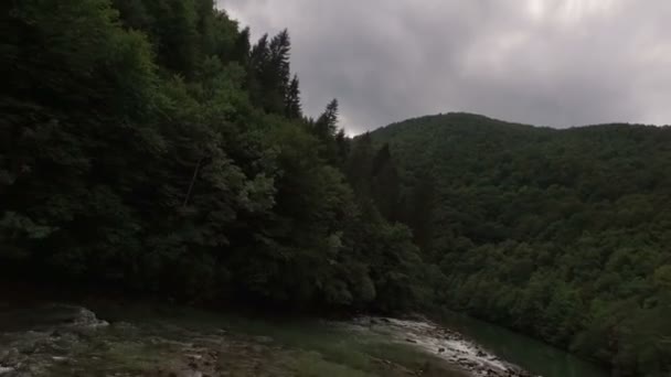 Rivière Forêt — Video