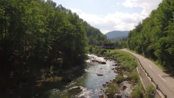 Río Que Fluye Junto Carretera — Vídeo de stock