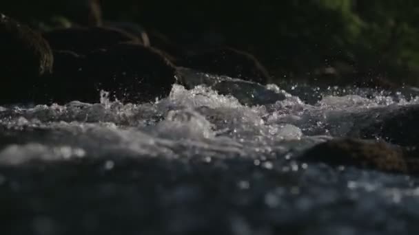 Reines Schnelles Flusswasser — Stockvideo