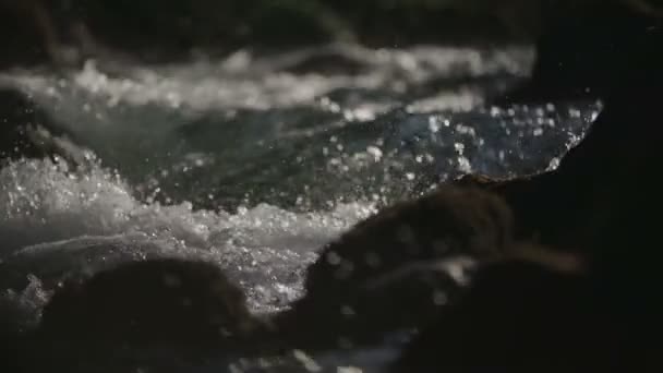 純粋な川の水しぶき — ストック動画