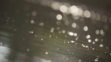 Işık ışınları ile bataklık