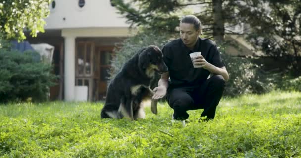 Lucu Anjing Menjilat Wajah Laki Laki — Stok Video