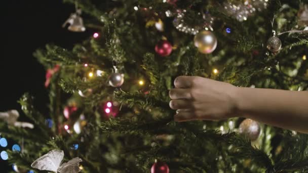 Decorating Christmas Tree — Stock Video