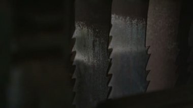 Testereler yakın çekim