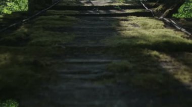 Ahşap asma köprü üzerinde yürüyen adam