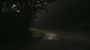 Yağmur sırasında sürüş araba