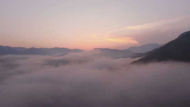 Luchtfoto Vlucht Mist Bos Zonsondergang — Stockvideo