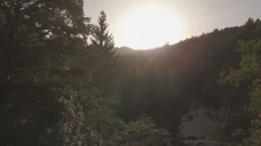 Yeşil ormanının vurdu casus uçak