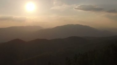 Günbatımı yeşil orman arazi üzerinde