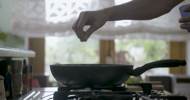 鍋に塩を追加する手 — ストック動画
