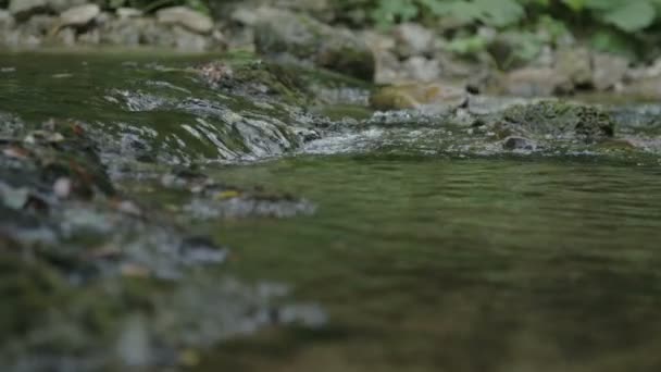 Αγνό Και Καθαρό Νερό Πηγής — Αρχείο Βίντεο