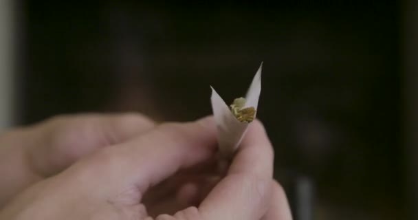 대마초 Spliff를 — 비디오