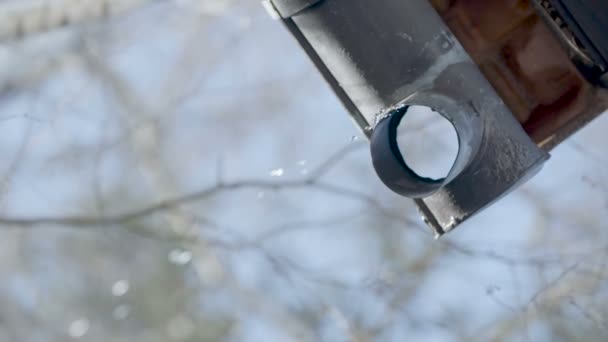 Waterdruppels Vallen Van Een Metalen Dak Goot — Stockvideo