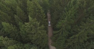 Acil müdahale ile otomobil sürüş hava uçuş ışıkları