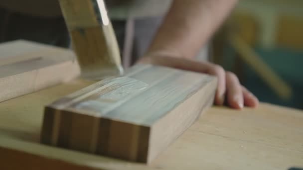 Leim Auf Holz Auftragen — Stockvideo