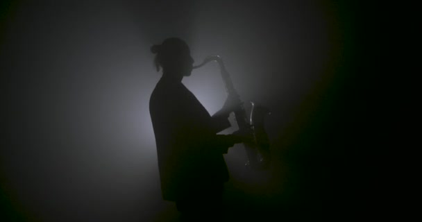 Saxofonista Com Uma Silhueta Chapéu — Vídeo de Stock