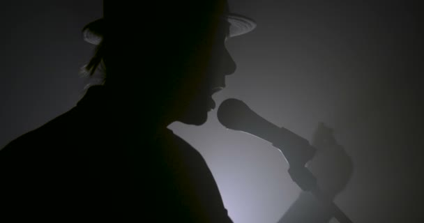 Silhouette Einer Sängerin Und Eines Mikrofons — Stockvideo
