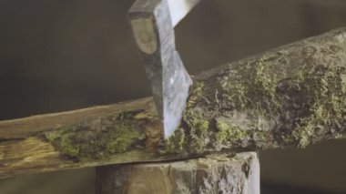 Odun kesme ve kesme Şubesi bir oturum kadar axeclose