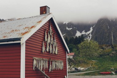 Norveç 'te balıkçı köyü