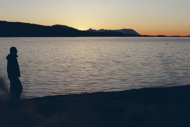 Günbatımı ağaçlar ile gölde