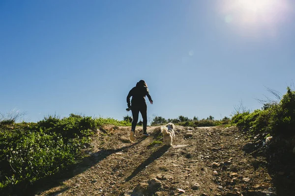 Woman dog walking through the field on a sunny day with blue and clear sky