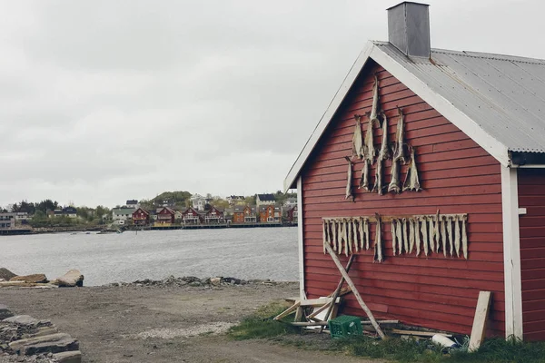 Aldeia Pesca Noruega — Fotografia de Stock