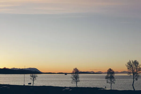 木と湖の夕日 — ストック写真