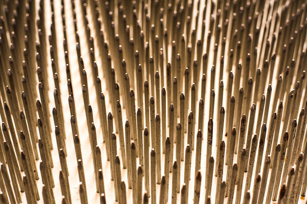 Perspective of nails in fakir bed