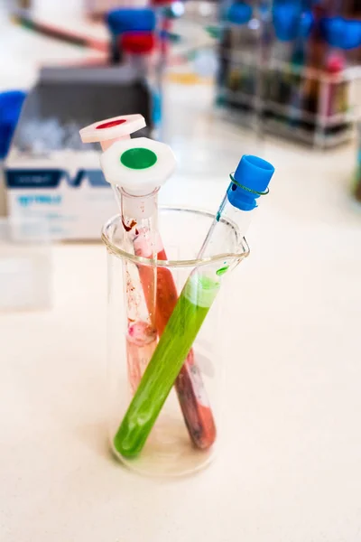 Test Tubes Chemical Industry — Stock Photo, Image