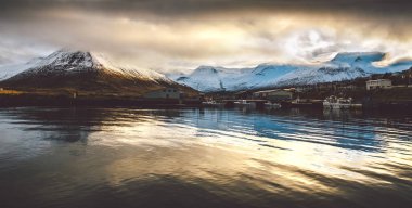 İzlanda manzara yeşil çimen, deniz ve mavi gökyüzü dolu.