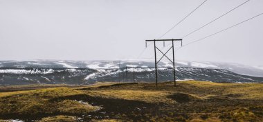 İzlanda manzara yeşil çimen, deniz ve mavi gökyüzü dolu.