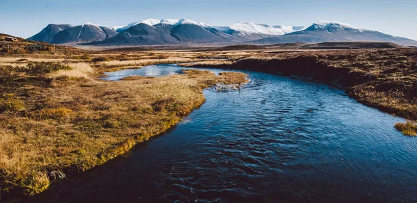 Ісландський Пейзажі Повний Зелена Трава Море Синє Небо — стокове фото