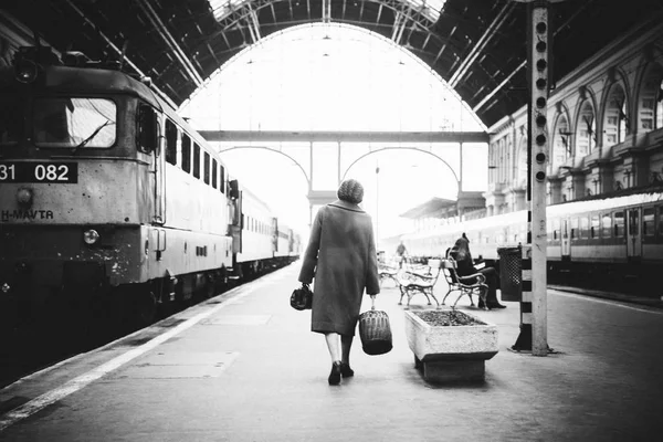 妇女离开国家与手提箱和行李乘火车 — 图库照片